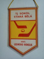 /album/ostrava-stara-bela1/ostrava-stara-bela-tj-sokol-15-jpg1/